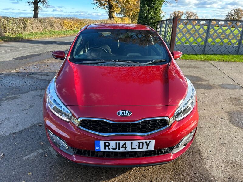 KIA PROCEED